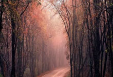 东部冠军与西部冠军将在总决赛中角逐